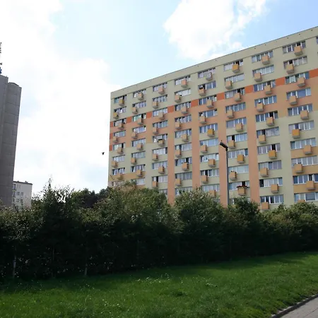 Skwergdynia13